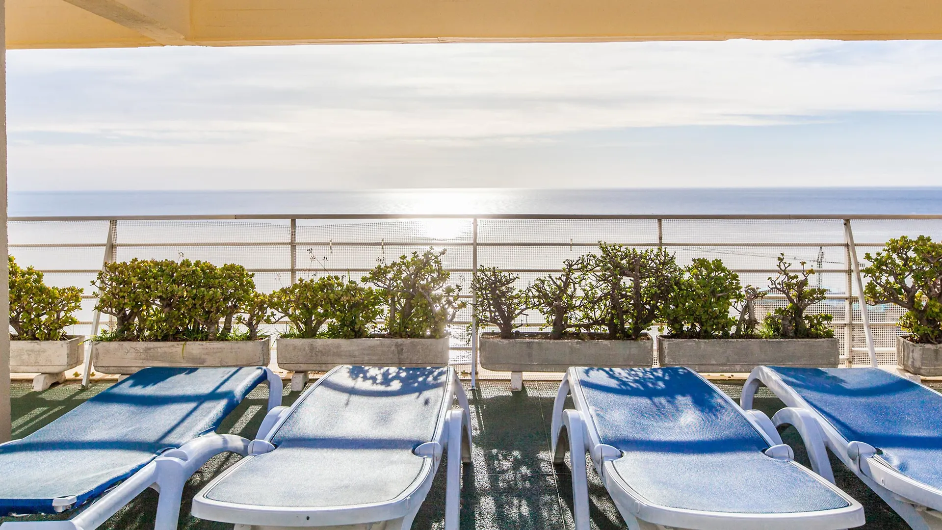 Bluesea Gran Cervantes 토레몰리노스 스페인